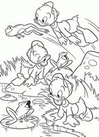 kolorowanki Kaczor Donald Disney - malowanka do wydruku numer  82